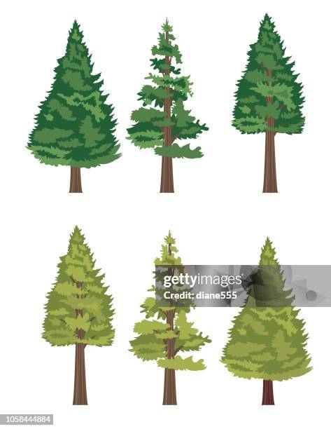 cute cartoon tree - evergreen trees stock illustrations