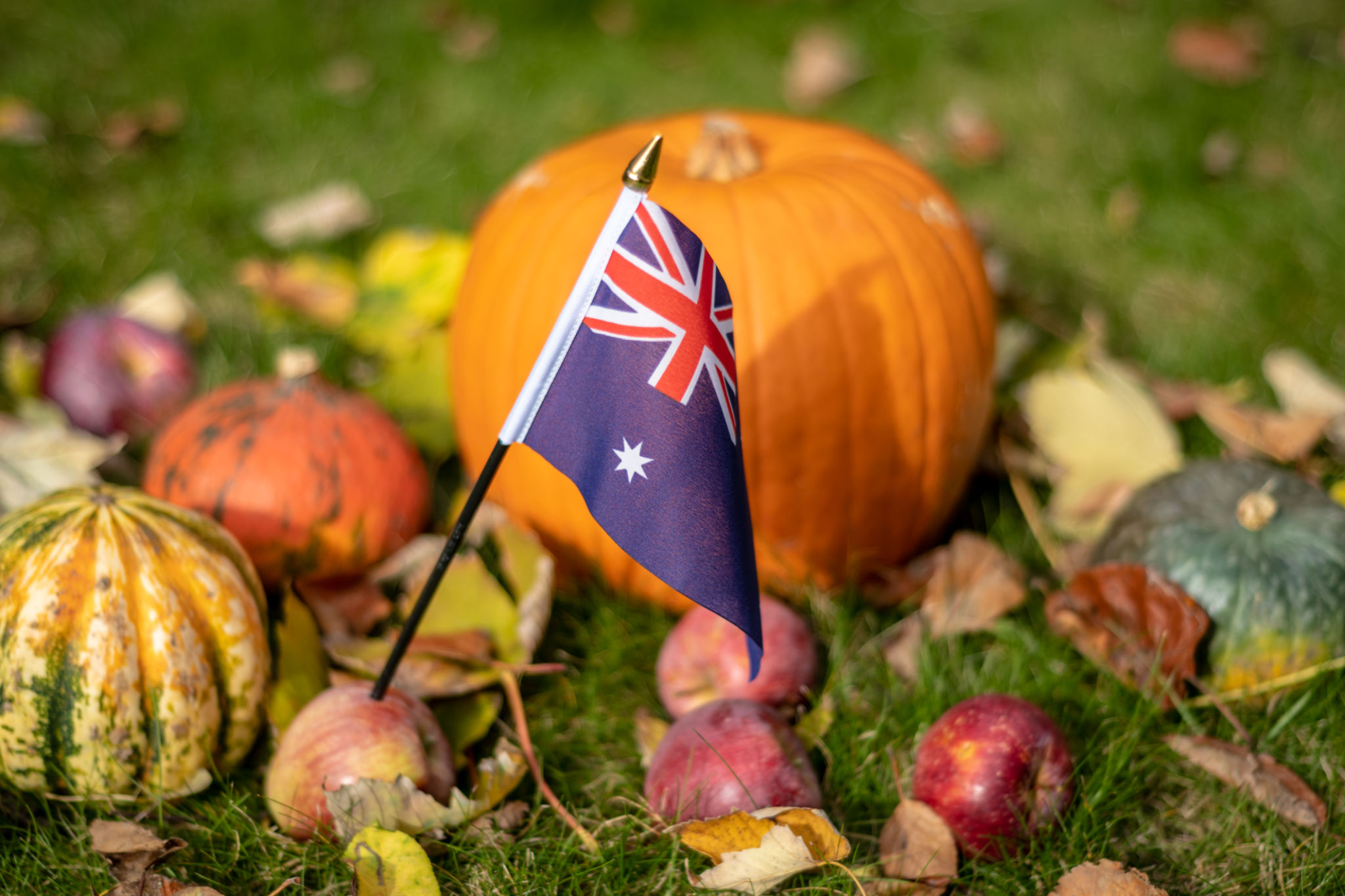 seasonal australian produce