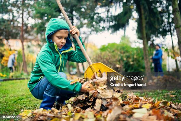 Kids Raking Leaves Photos and Premium High Res Pictures - Getty Images