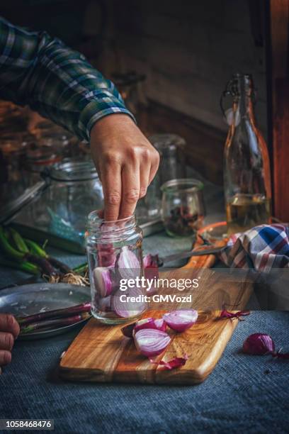 preserving organic red onions and red spring onions in jars - pickled stock pictures, royalty-free photos & images