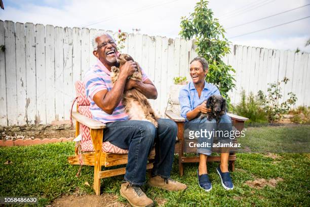 senior black couple with their dogs - dog springtime stock pictures, royalty-free photos & images