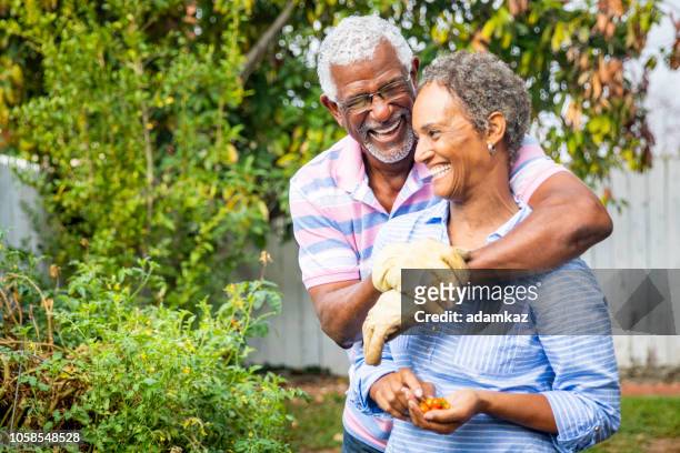 adorable black couple working together in the garden - mature adult gardening stock pictures, royalty-free photos & images