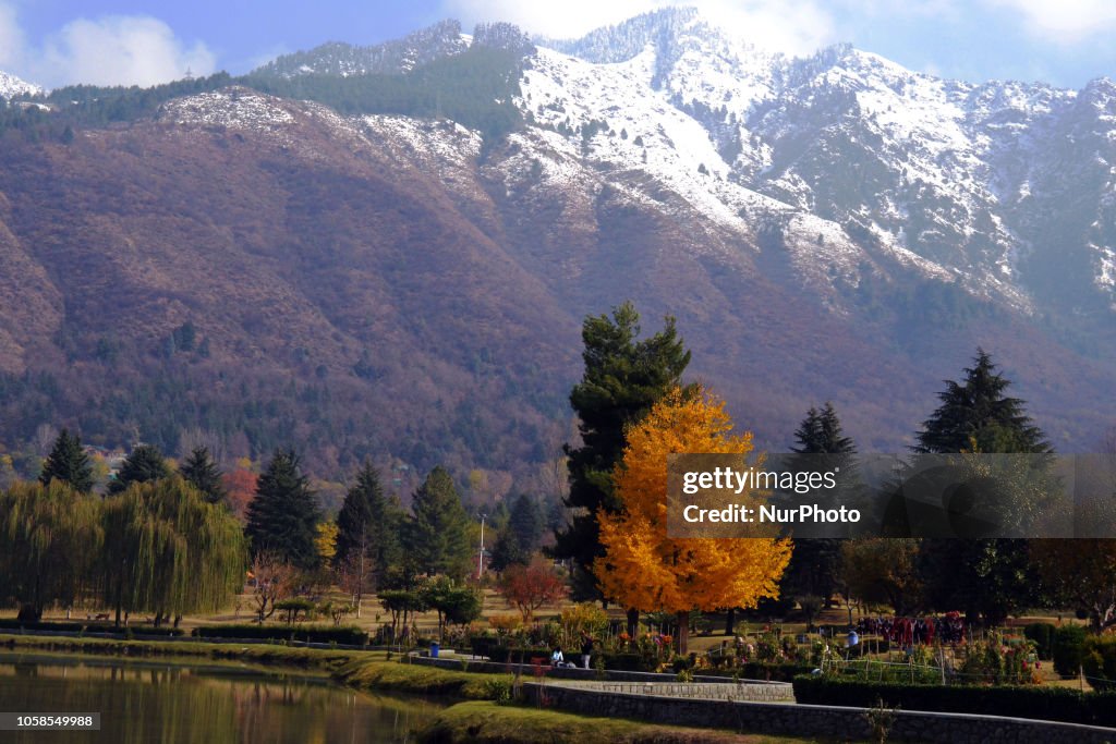 A General View Of Botanical Garden During The Autumn Season In News a-general-view-of-botanical-garden-during-the-autumn-season-in-news