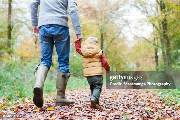 father and son walking in autumn woods - ゴム長靴 ストックフォトと画像