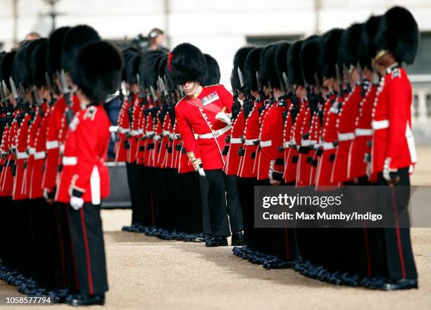 Soldiers of the The Coldstream Guards form a Guard of Honour during the ceremonial welcome at Horse Guards Parade for King Willem-Alexander of the...