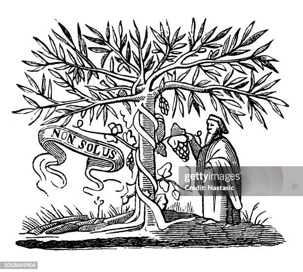 illustrazioni stock, clip art, cartoni animati e icone di tendenza di i segni tipografici parigini del xv e xvi secolo, non solus 1620, isaac elzevir - cucina greca