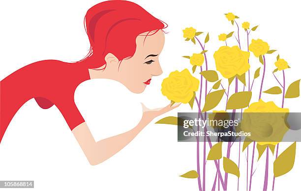 12点のフリージアイラスト素材 Getty Images 12点のフリージアイラスト素材 Getty Images
