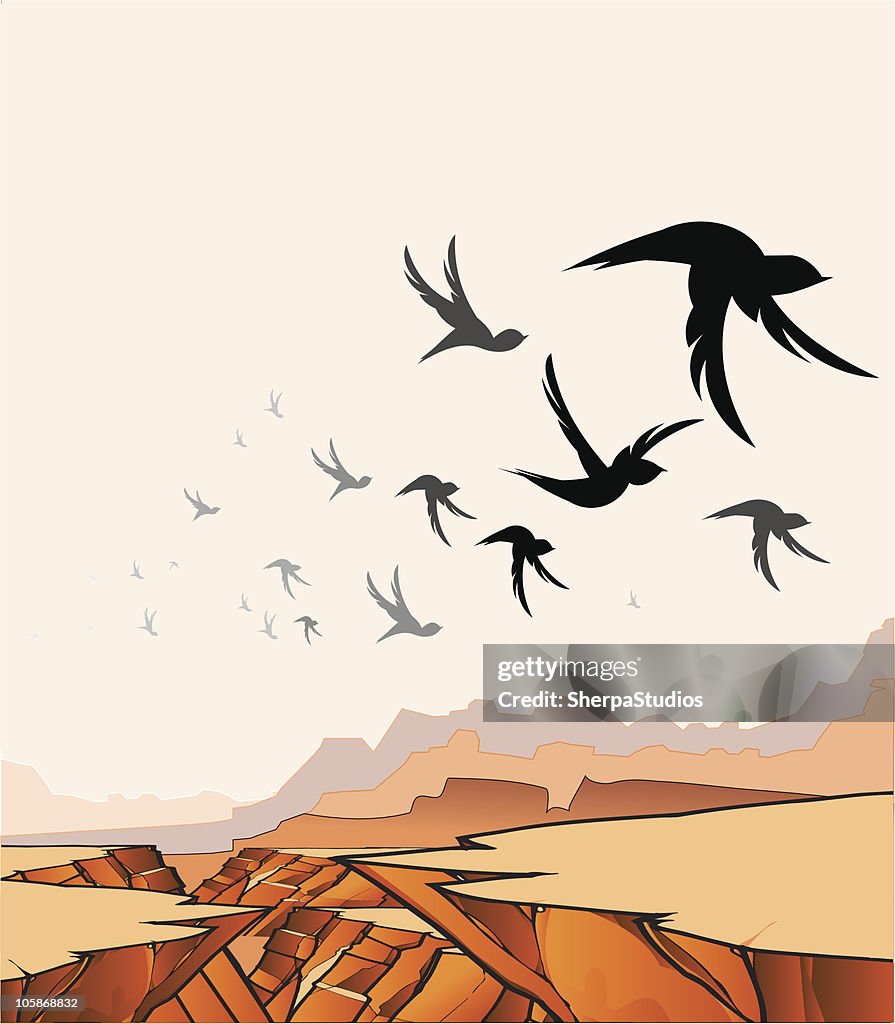 Birds Over Canyon