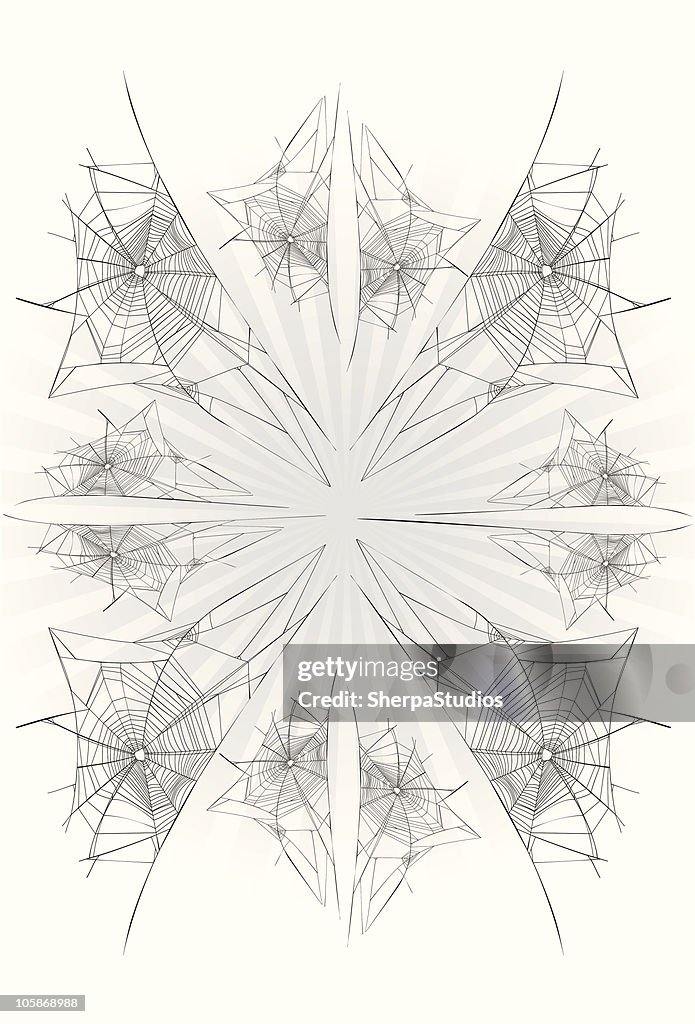 Concentric Spider Web Design