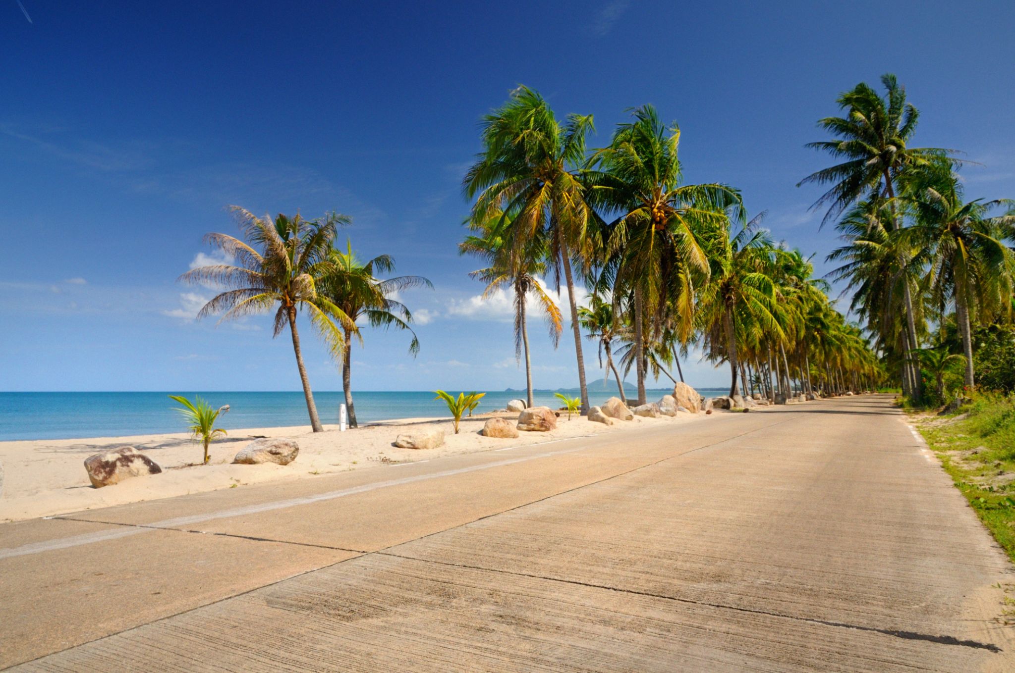 tropical road