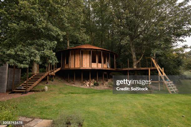 luxury garden treehouse - tree house bildbanksfoton och bilder