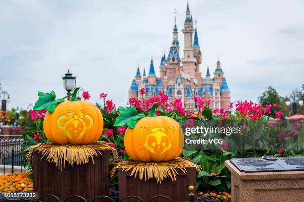 Halloween themed pumpkins are on display at Shanghai Disney Resort on October 14, 2018 in Shanghai, China. Shanghai Disney Resort celebrates the...