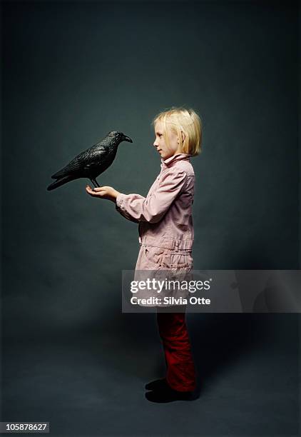 girl looking at plastic raven  - white crow stock pictures, royalty-free photos & images