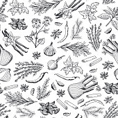 Vector hand drawn herbs and spices background or pattern illustration