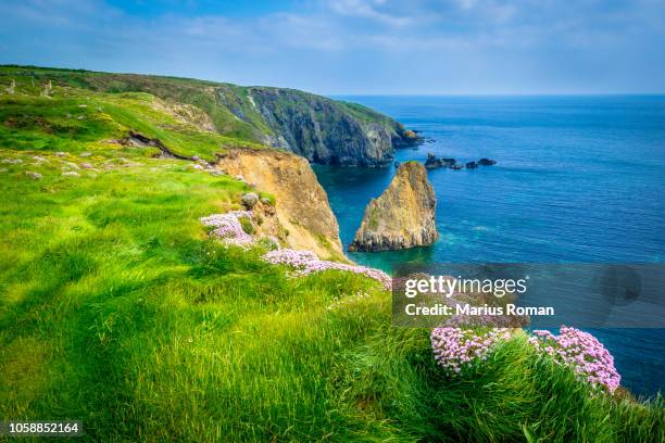 the copper coast geopark, county waterford, ireland. summer's day at cooper coast with wild flowers and sea stack, before the storm. - county waterford ireland stock pictures, royalty-free photos & images