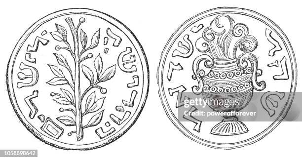 erste jüdische revolte schekel-münze (1. jahrhundert) - amphore stock-grafiken, -clipart, -cartoons und -symbole