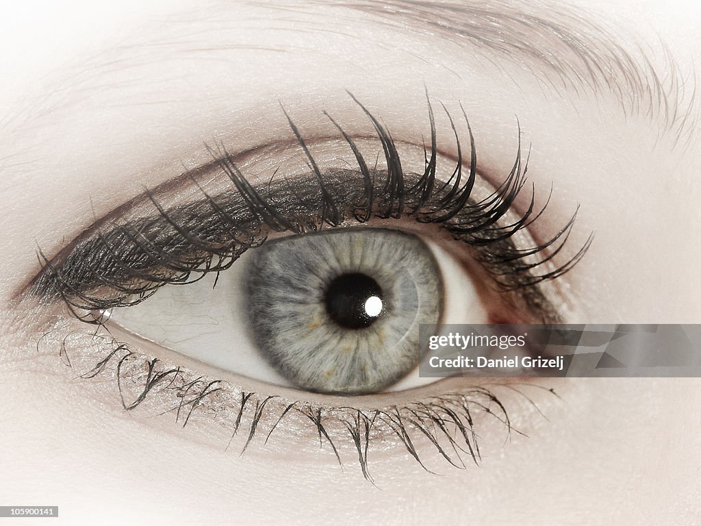 Female eye