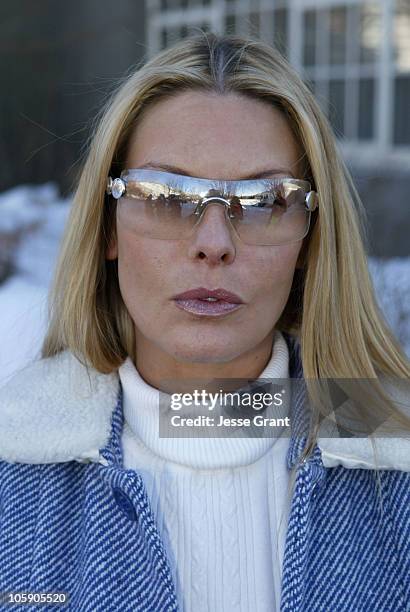 Deborah Unger during 2004 Sundance Film Festival - "One Point O" Premiere at Library in Park City, Utah, United States.