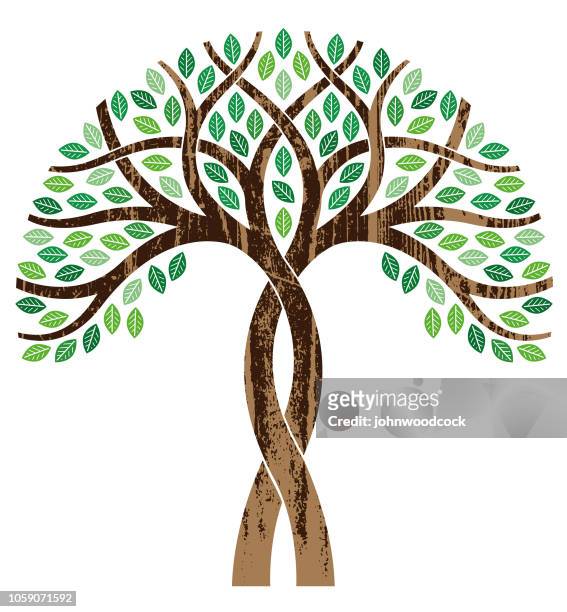 bildbanksillustrationer, clip art samt tecknat material och ikoner med vridna träd illustration - tree trunk