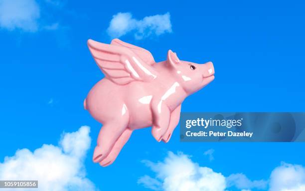 pigs might fly - irony stock-fotos und bilder