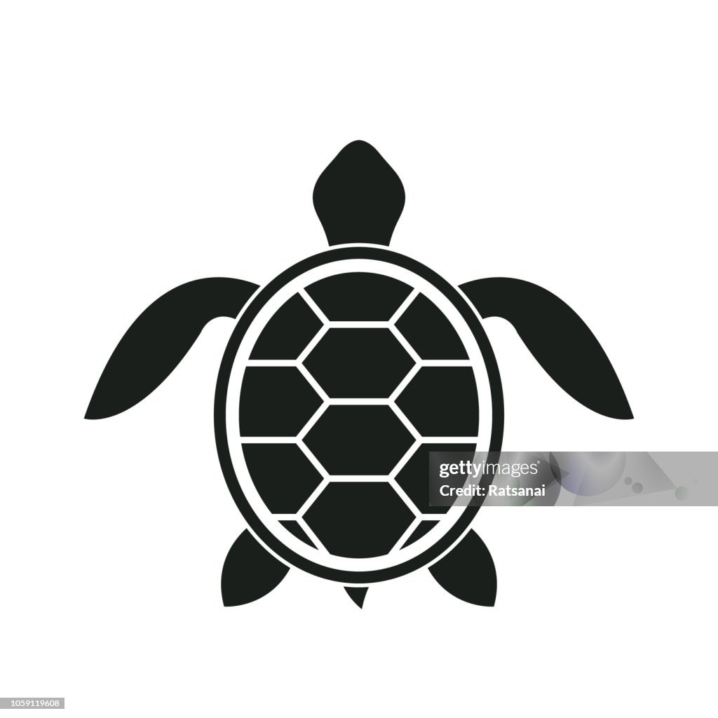 Turtle icon