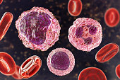 Monocyte, lymphocyte and neutrophil surrounded by red blood cells