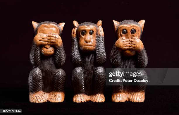 3 wise monkeys - corruption stock pictures, royalty-free photos & images