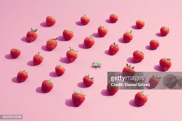 one of a kind - strawberry stock pictures, royalty-free photos & images