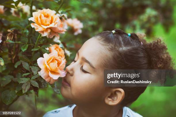 398 Child Smelling Rose Stock Photos, High-Res Pictures, and Images ...