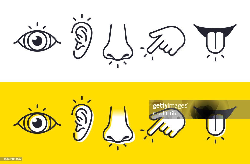 Fünf Sinne sehen, hören Geruch Touch Geschmack Icons und Symbole