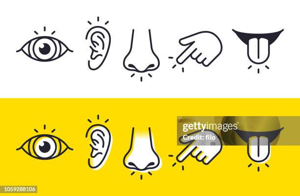 illustrazioni stock, clip art, cartoni animati e icone di tendenza di cinque sensi vista udito odore toccare icone gusto e simboli - lingua bocca