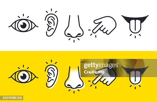 Five Senses Sight Hearing Smell Touch Taste Icons and Symbols Five Senses Sight Hearing Smell Touch Taste Icons and Symbols