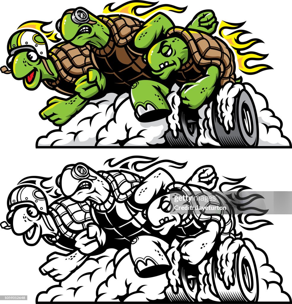 Drag Racing Turtle Three Turtles Racing High-Res Vector Graphic - Getty Images