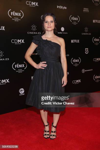 Bianca Comparato attends the Iberoamerican Fenix Film Awards 2018 at Teatro de la Ciudad Esperanza Iris on November 7, 2018 in Mexico City, Mexico.