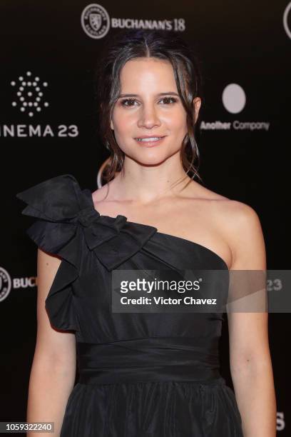 Bianca Comparato attends the Iberoamerican Fenix Film Awards 2018 at Teatro de la Ciudad Esperanza Iris on November 7, 2018 in Mexico City, Mexico.