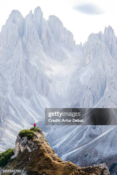 small hiker facing the sharp dolomite mountains in the italian alps. - dolomiti stock-fotos und bilder