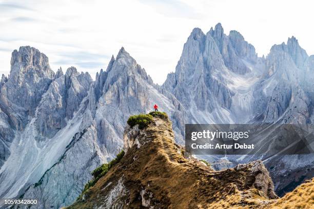 small hiker facing the sharp dolomite mountains in the italian alps. - höhenangst stock-fotos und bilder