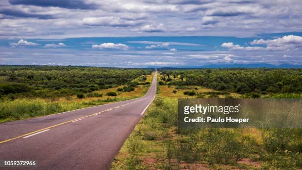 pampa del infierno highway - chaco province argentina stock pictures, royalty-free photos & images