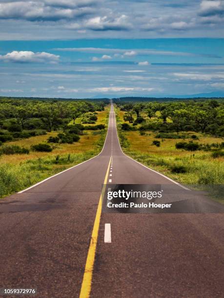 pampa del infierno highway - pampa argentine stockfoto's en -beelden