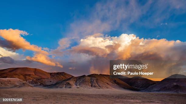 andes mountain range - altiplano stock pictures, royalty-free photos & images