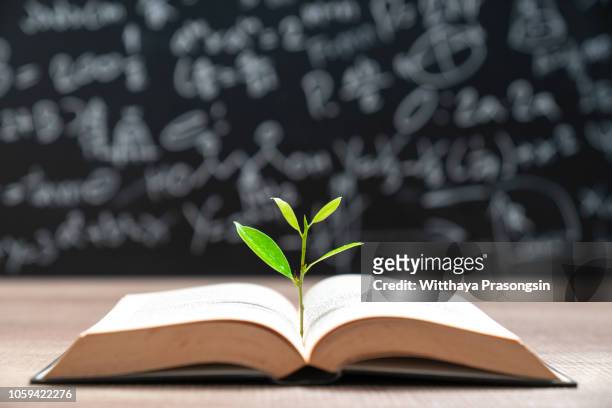 world philosophy day education concept with tree of knowledge planting on opening old big book - learning resources for reading stock-fotos und bilder