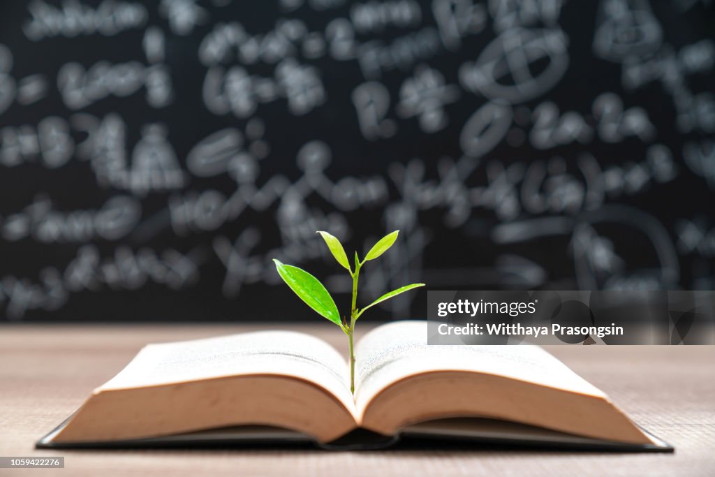 World philosophy day education concept with tree of knowledge planting on opening old big book