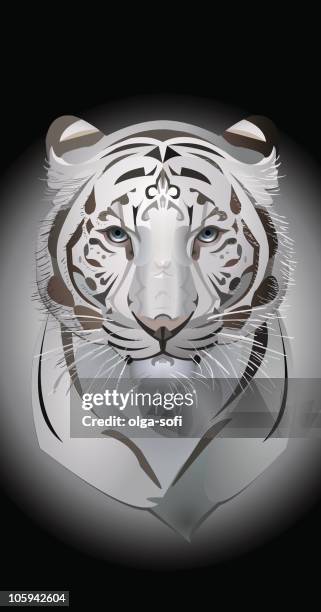 tiger - white tiger stock illustrations