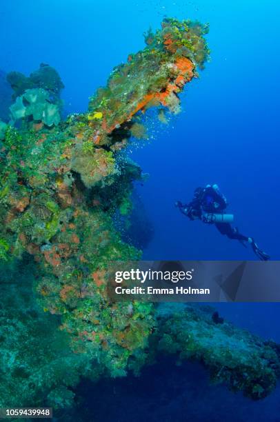 diving the rio de janiero maru wreck - micronesia stock pictures, royalty-free photos & images