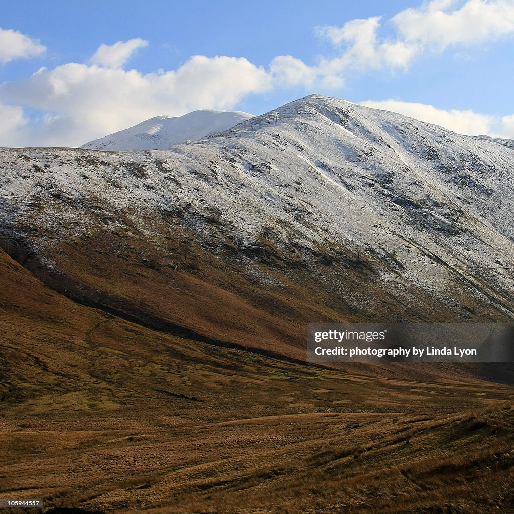 Rest Dodd , Bannerdale