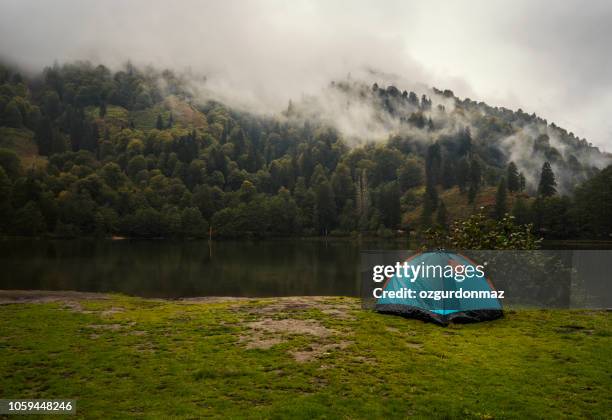 camping la vie - étendue sauvage scène non urbaine photos et images de collection