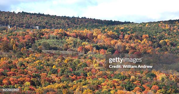 fall tree colors in upstate new york - new paltz foto e immagini stock