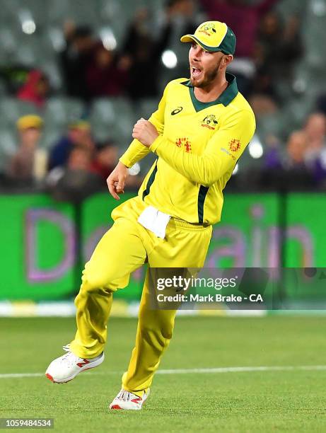 Chris Lynn of Australia celebrates after taking a catch to dismiss Dwaine Pretorius of South Africa off the bowling of Josh Hazlewood of...