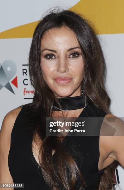 Ana De Los Riscos attends the 8th Annual Recent Cinema From Spain on November 8, 2018 in Miami, Florida.