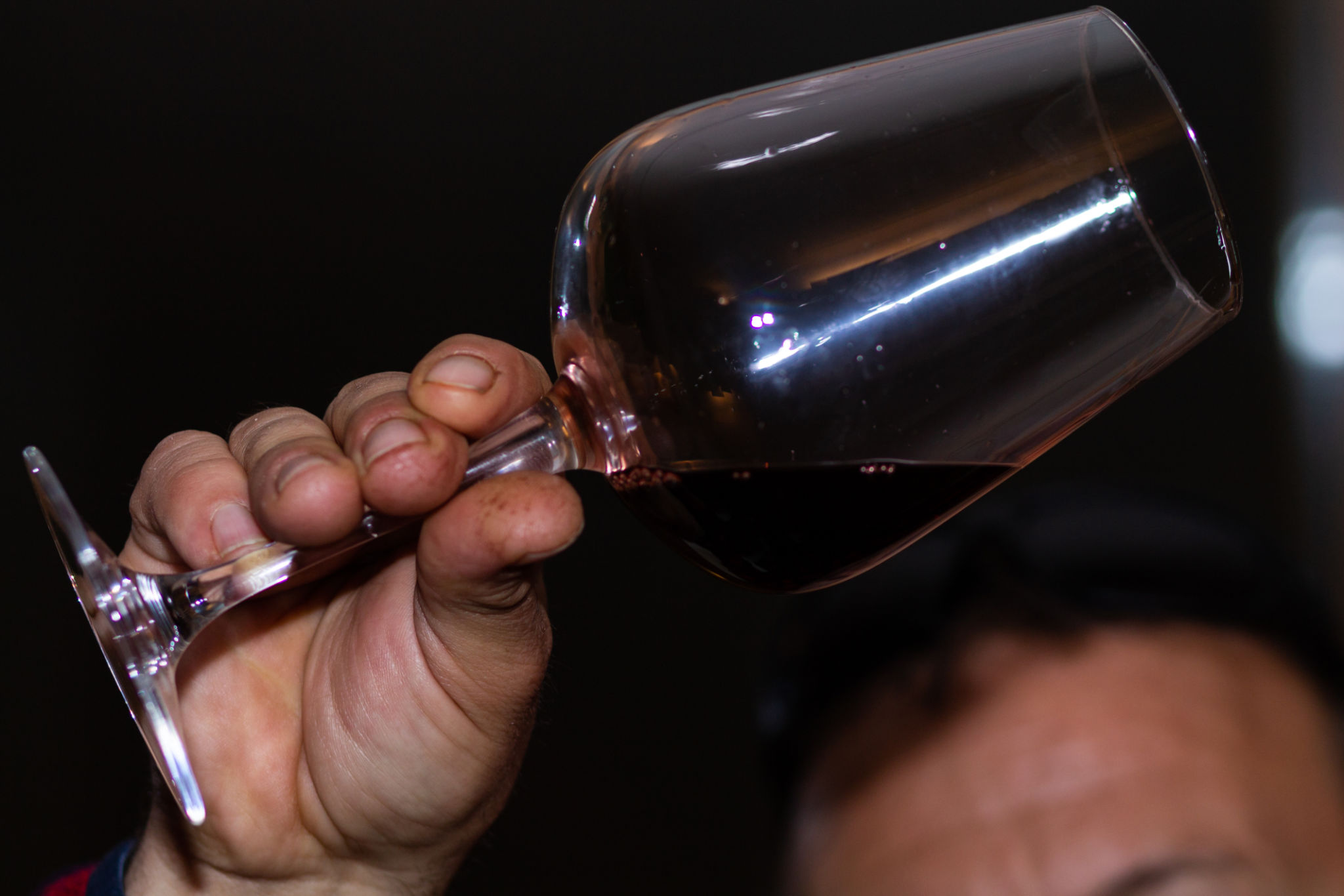 degustazione vino